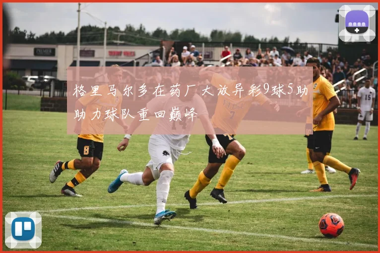 格里马尔多在药厂大放异彩9球5助助力球队重回巅峰